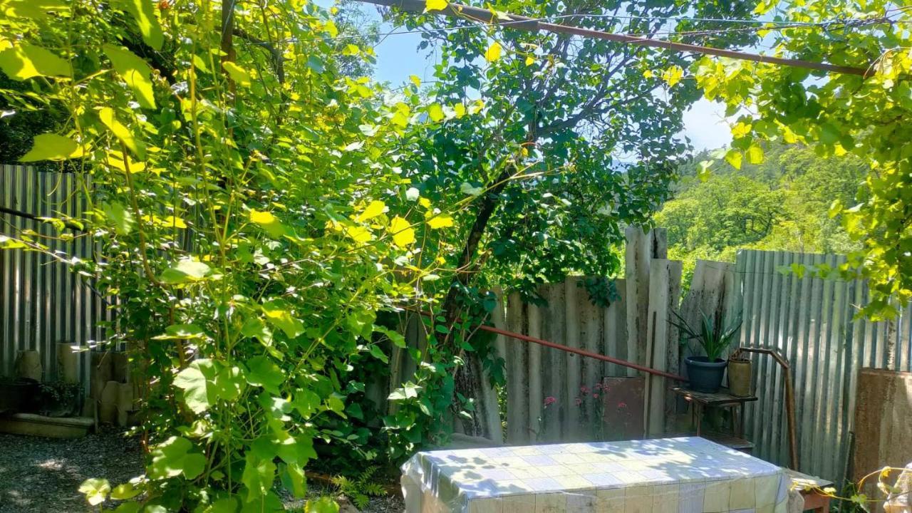 Guest House Gogias Cixe Bordschomi Exterior foto