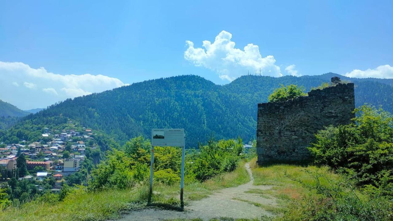 Guest House Gogias Cixe Bordschomi Exterior foto