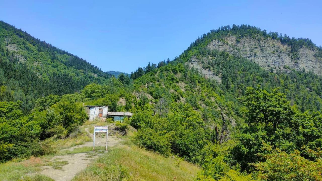 Guest House Gogias Cixe Bordschomi Exterior foto