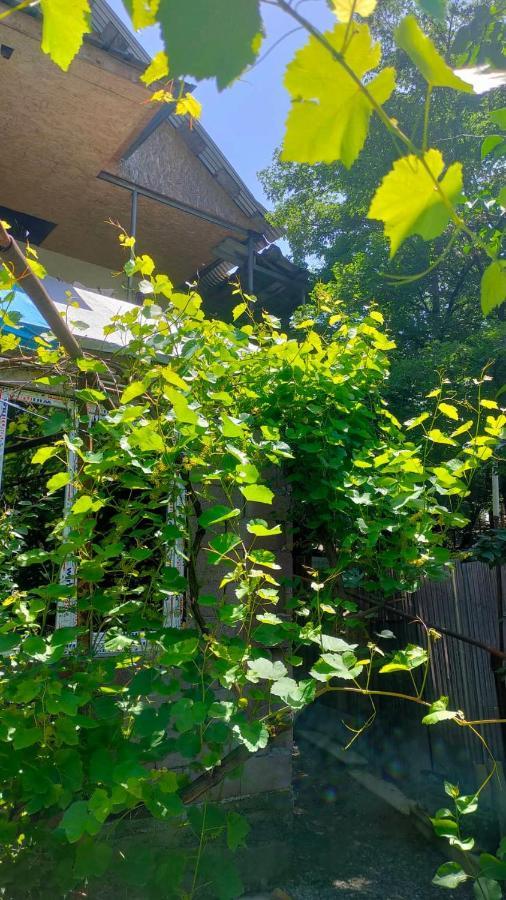 Guest House Gogias Cixe Bordschomi Exterior foto